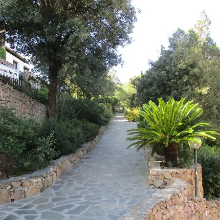 Ginepri 5 *
