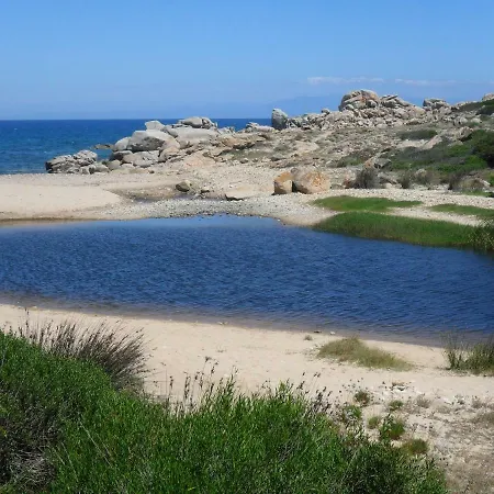 Ginepri 5 *