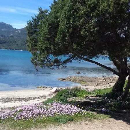 Ginepri 5