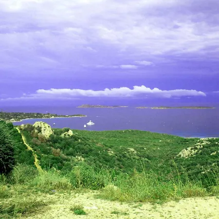 Ginepri 5
