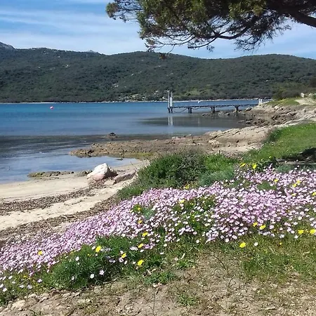 Ginepri 5 * Porto Rotondo
