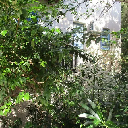 Ginepri 5
